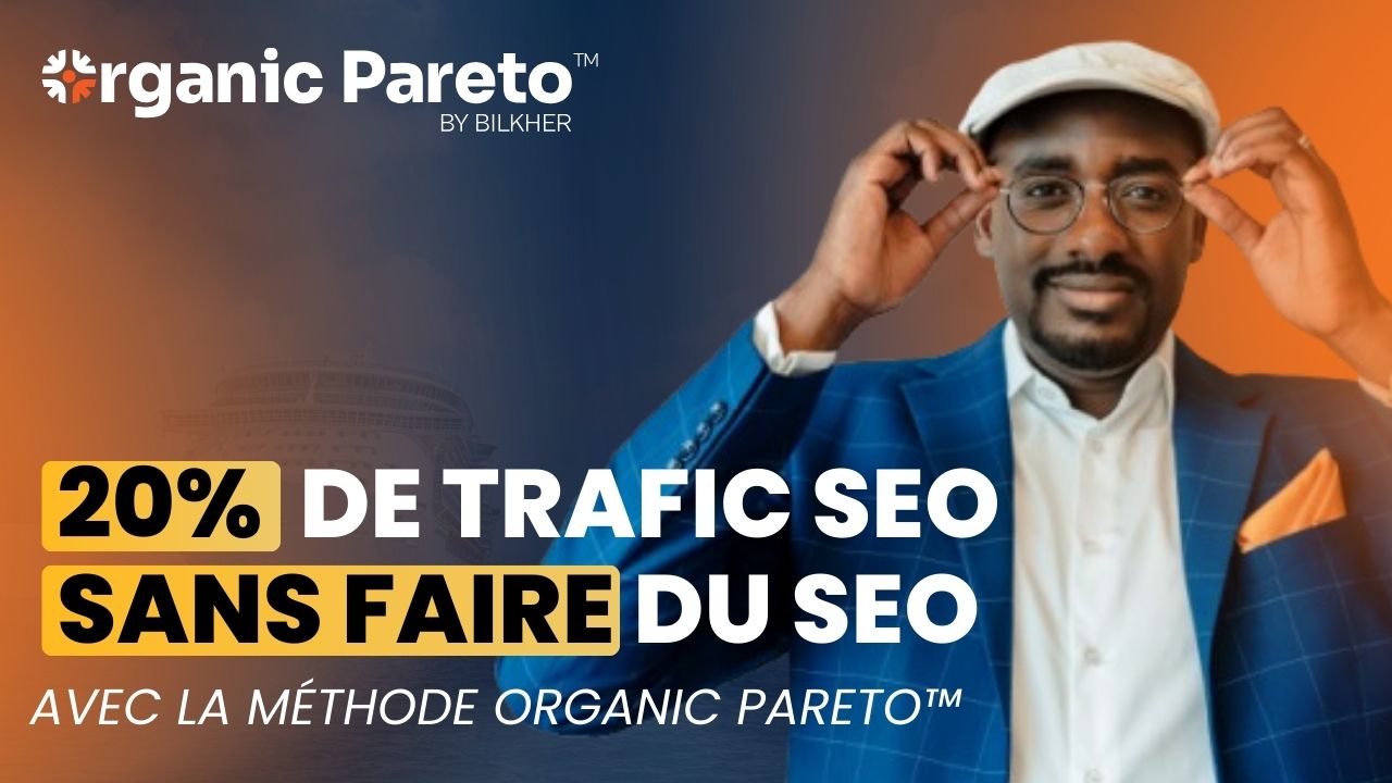 20% -de-trafic-SEO-Sans-Faire-du-SEO-organic-pareto-by-bilkher